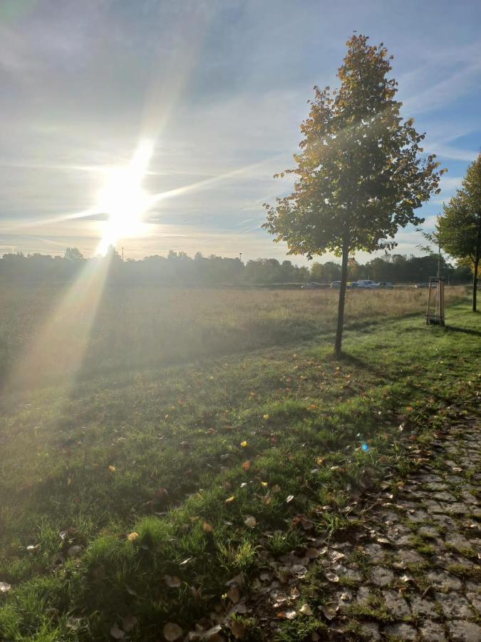 Pension Am Rosental Merseburg Eksteriør billede